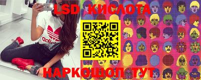 стафф Заводоуковск