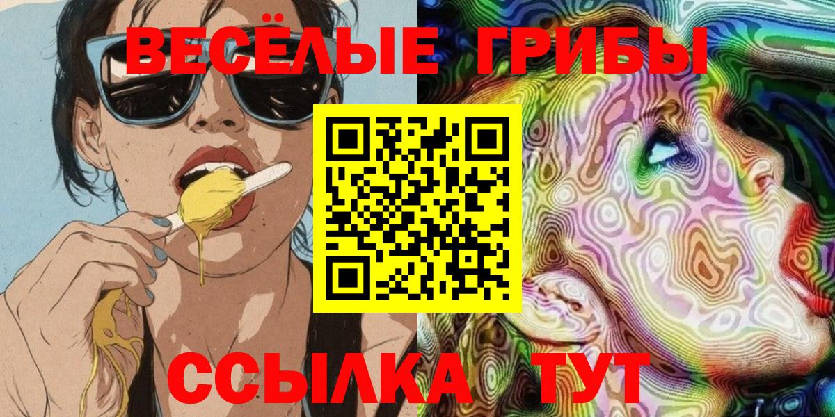 Михайловск  Галлюциногенные грибы Magic Shrooms  Псилоцибиновые грибы Magic Shrooms  Вход с VPN 