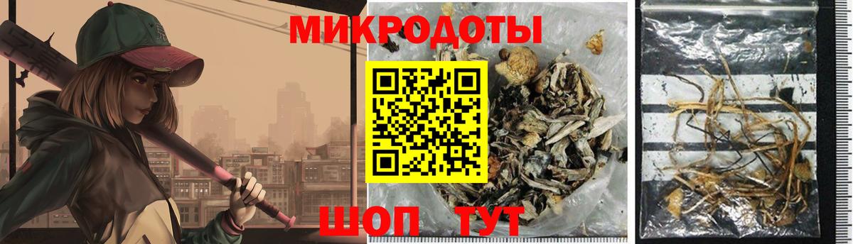 Псилоцибиновые грибы Cubensis Михайловск
